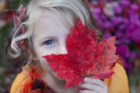fall.jpg