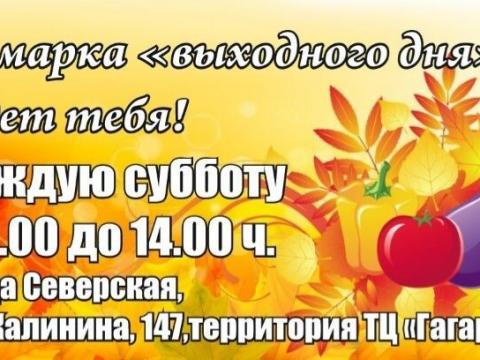 qpzw0c73yl01.jpg