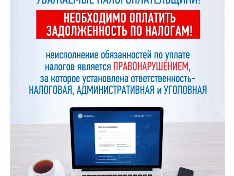 zadolzhennost_po_nalogam.jpg