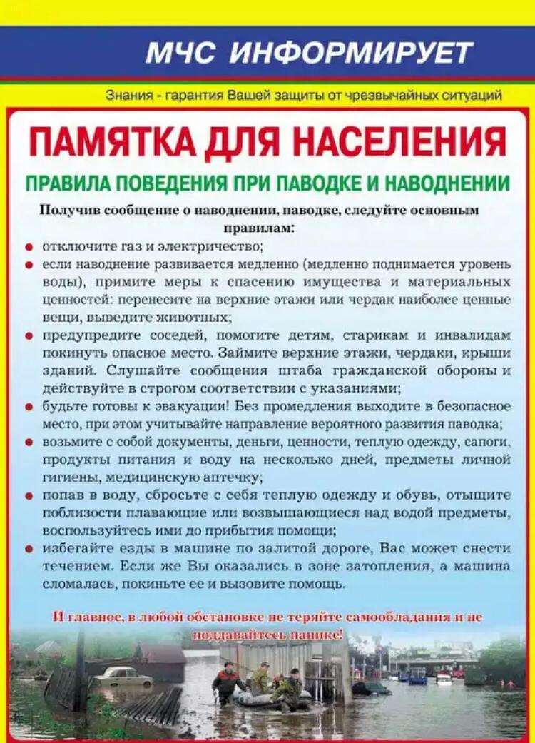 whatsapp_image_2021-08-12_at_19.26.25.jpeg