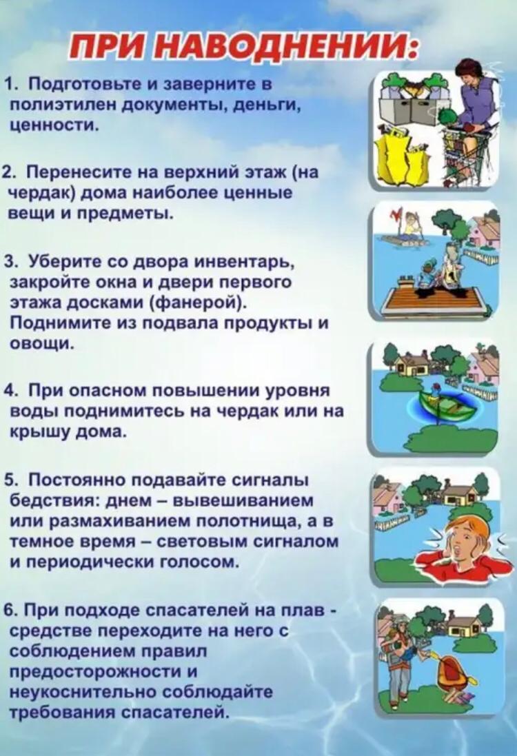 whatsapp_image_2021-08-12_at_19.26.25_1.jpeg