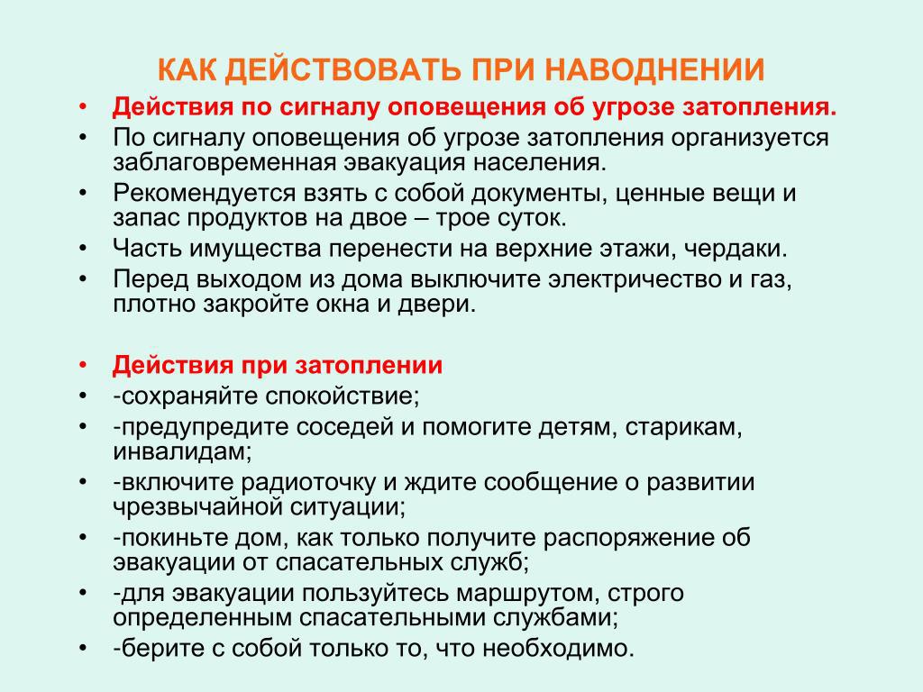 whatsapp_image_2021-08-13_at_15.03.24.jpeg