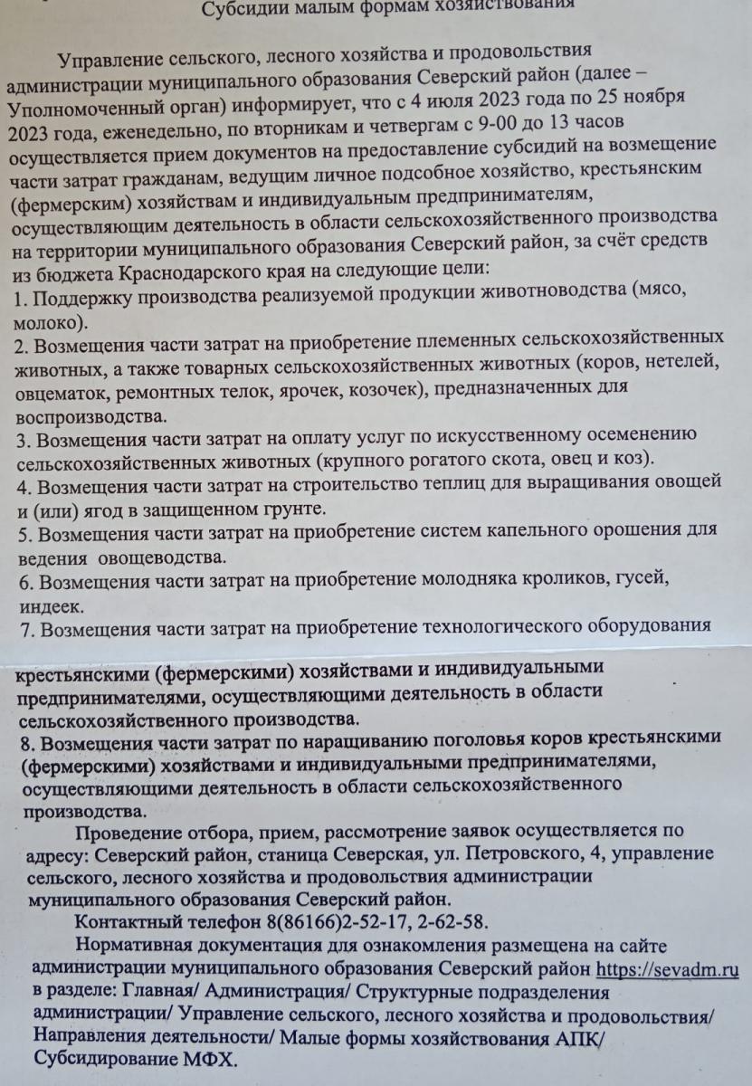 whatsapp_image_2023-08-10_at_11.46.13.jpeg